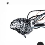 Computer quantistici e supercomputer: il futuro del calcolo