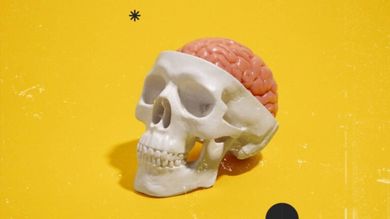 Il ruolo del Cervello nella Comunicazione